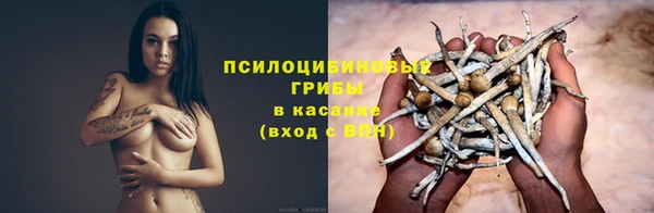 твердый Алексин