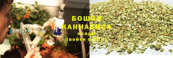 СК Няндома