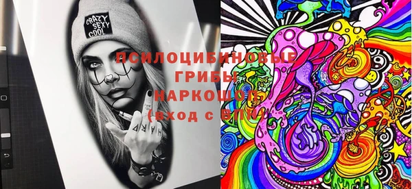 круглые Алзамай