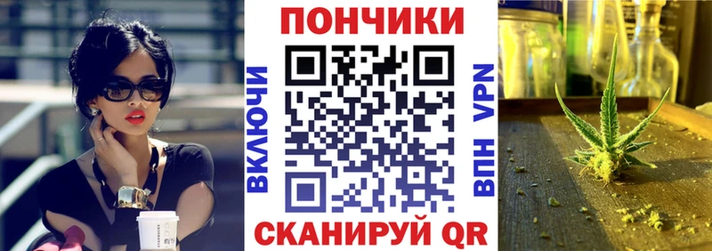 Каннабис планчик  Суджа 